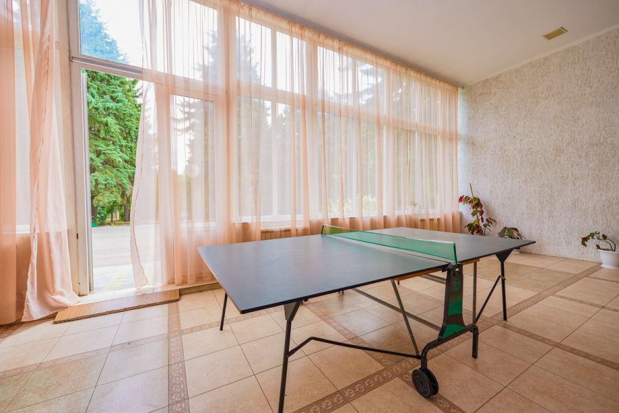 Настольный теннис в санатории Центр Союз в городе Ессентуки - фотография