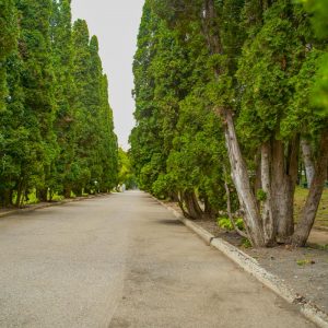 Территория в санатории Центр Союз в городе Ессентуки - фотография