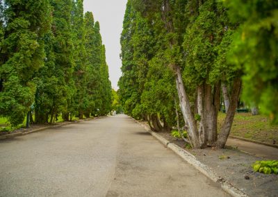 Территория в санатории Центр Союз в городе Ессентуки - фотография