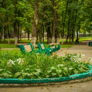 Территория в санатории Центр Союз в городе Ессентуки - фотография