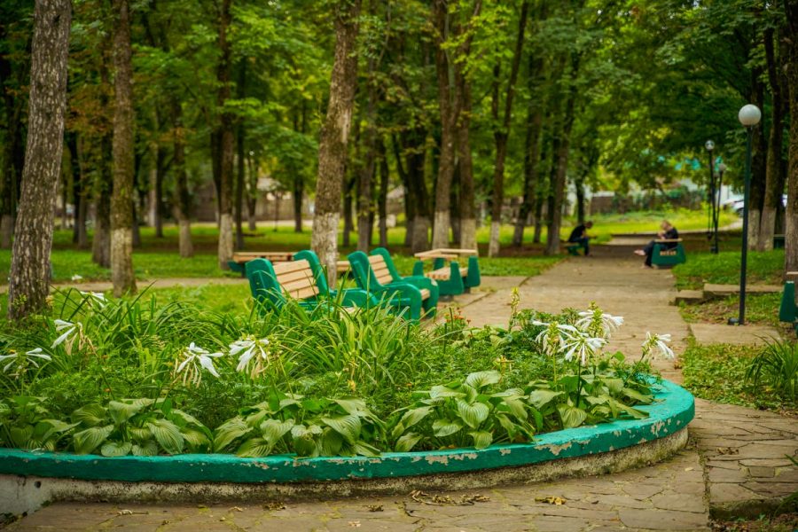 Территория в санатории Центр Союз в городе Ессентуки - фотография