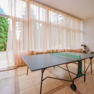 Настольный теннис в санатории Центр Союз в городе Ессентуки - фотография