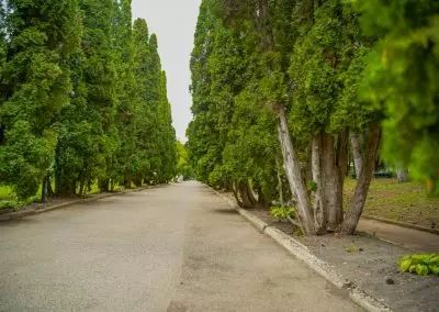 Территория в санатории Центр Союз в городе Ессентуки - фотография